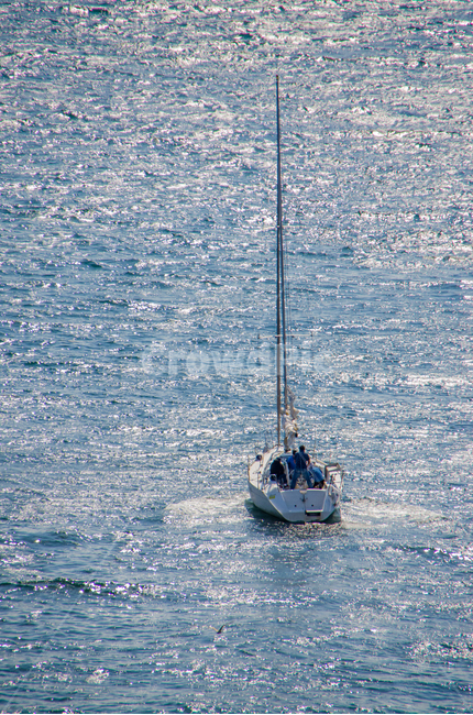 여름,바다,요트,파도,풍경,물보라,summer,sea,yacht,wave,blue,햇빛,sunshine,보트,boat