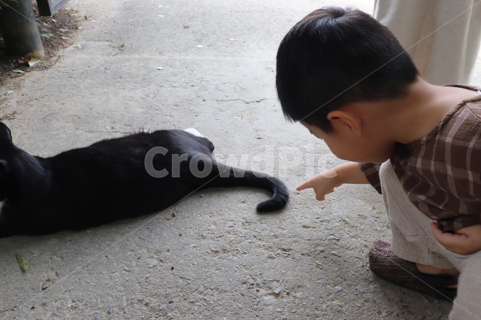 고양이,동물,cat,사람,person,아이,여행