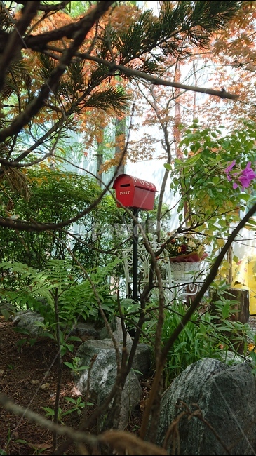 숲속,우체통,레드,빨간색,빨간우체통,식물,자연,plants,nature,나무,trees,wood