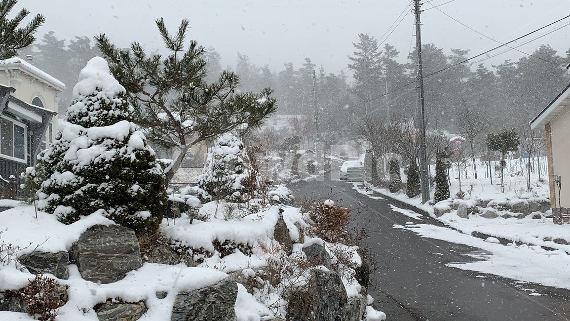 길거리,자연,outdoors,snow,눈,겨울,겨울,계절,winter,season