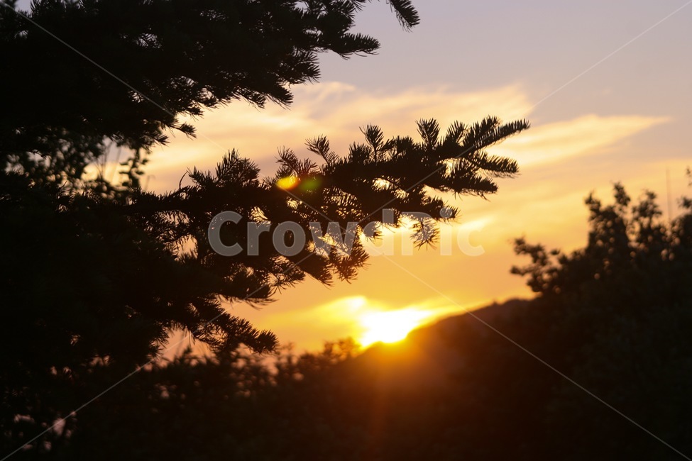 태양,노을,나무,산,정상,횡성,태기산,하늘,풍경