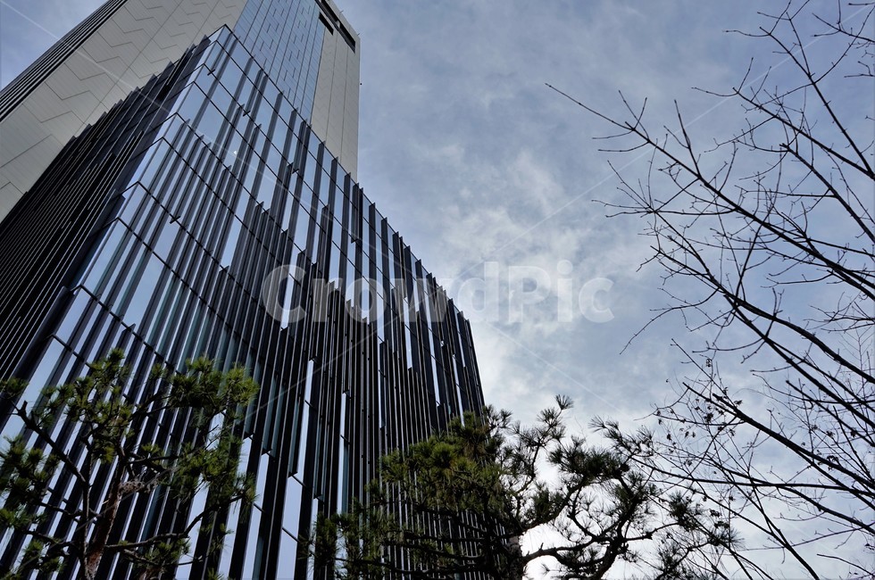 건물,빌딩,하늘,외벽,건축미,외관,유리,sky,building,cloud,도시,비지니스,반영,구름,나뭇가지,소나무,건축물,건물외관,exterior,building,structure,architecture,construction
