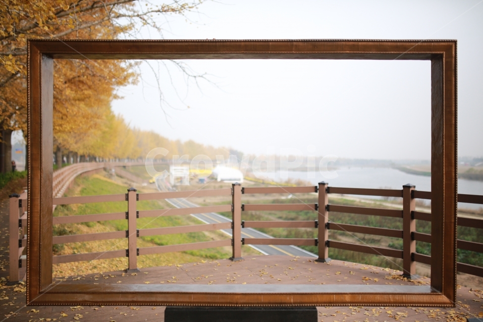 가을,자연풍경,단풍,은행나무길,액자,곡교천,만추,가을,계절,fall,autumn,season,wood,나무,railing,난간