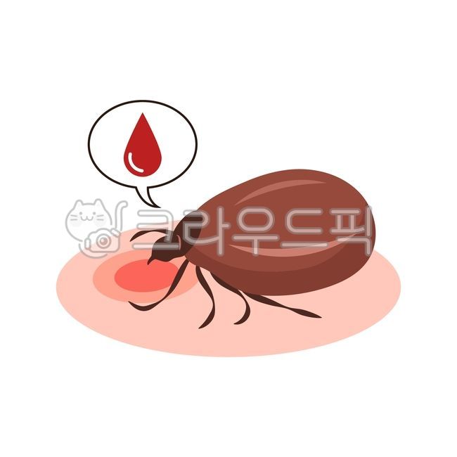 일러스트,여름,해충,벌레,곤충,진드기,참진드기,진드기일러스트,tick,진드기물림,물림,상처,염증,흉터,흡혈,피부,사람,확대,돋보기,클로즈업,물린,자국,bite,tickbite