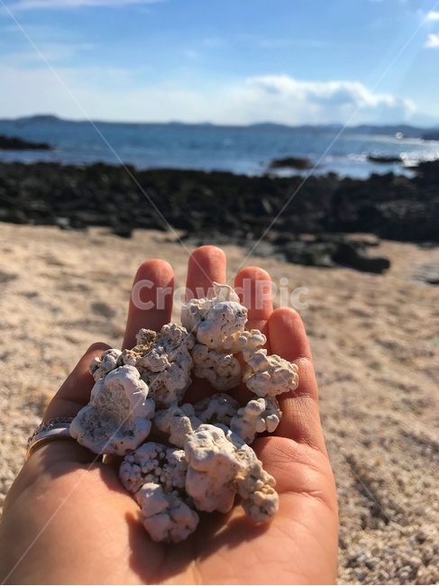 돌,손,바다,stone,skin