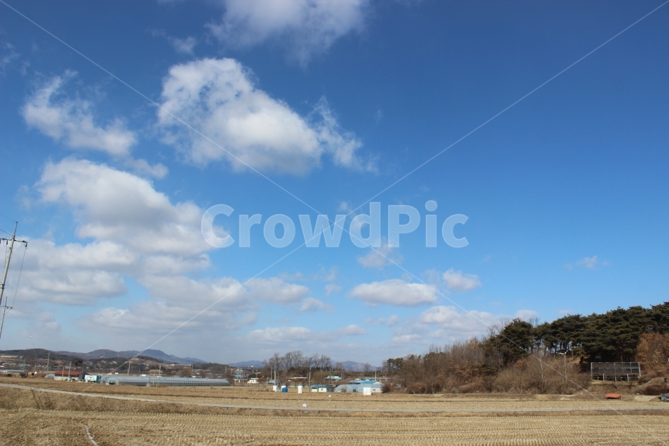시골,추억,낭만,겨울논,이교관,겨울,계절,winter,season,시골,마을,풍경,landscape,country,rural,town