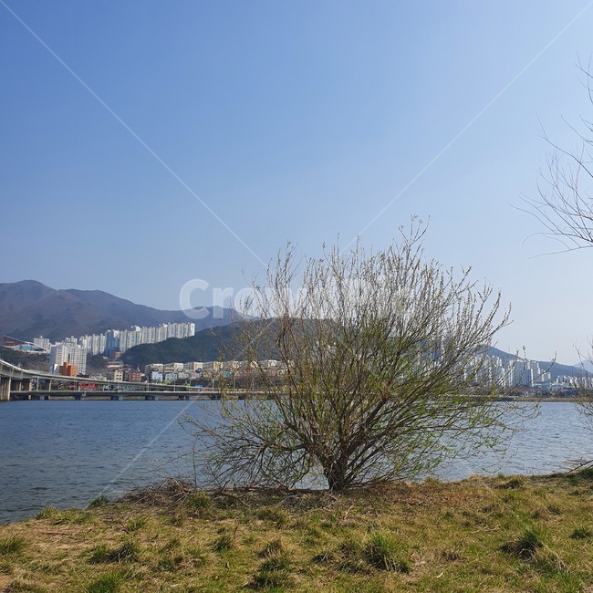 nature,자연,water,물,outdoors,옥외,나무,tree,하늘,sky