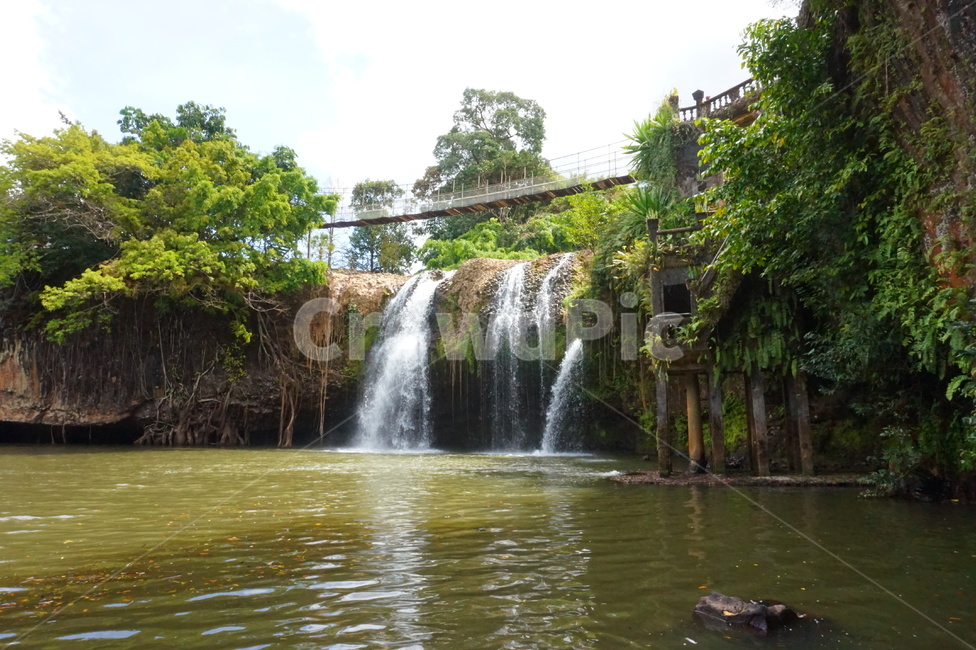 호주,케언즈,케언스,cairns,australia,paronellapark,파로넬라파크,숲,outdoors,옥외,garden,정원,arbour,정자,폭포,연못,water,물,nature,자연,waterfall