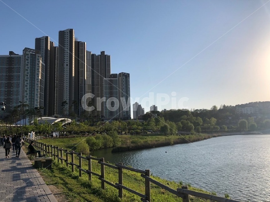 공원,경치,강,도시,배경