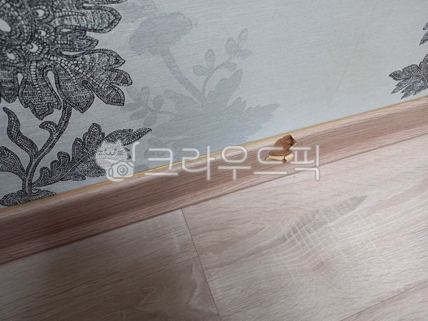 home repairs,Molding repair,baseboard,base molding,molding,construct