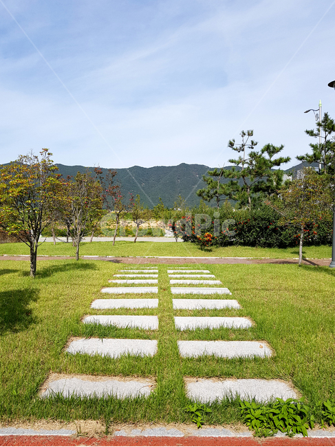 plant,식물,grass,잔디,tree,나무,양산시,거리,nature,자연,outdoors,옥외,가늘하늘,하늘,sky,자연,풍경,nature,landscape
