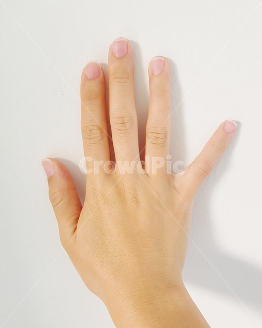 human,인간,person,사람,손,hand,손가락,pinger,신체일부,몸,body