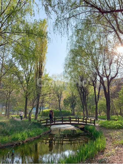 대구수목원,수목원,연못,반영,숲길,반영효과,비침,반사,나무