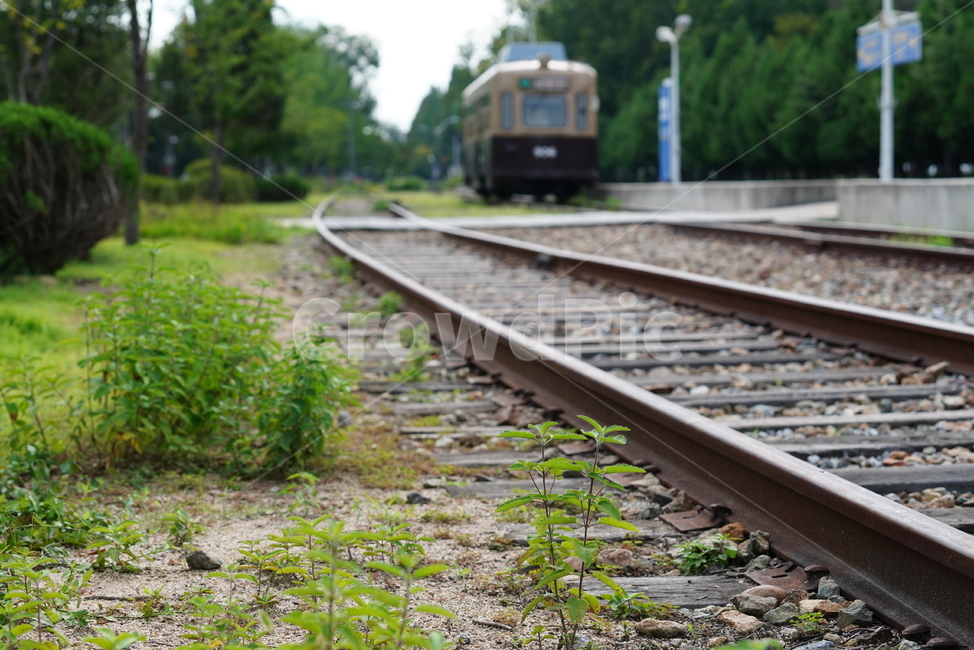 철길,레일,rail,길,철,기찻길,교통,railway,transportation,교통,교통수단,traffic,transportation