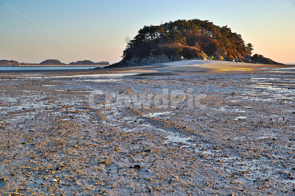 선대도,목섬,인천,섬,옹진군,서해,갯벌,바다,썰물,자연,풍경,nature,landscape