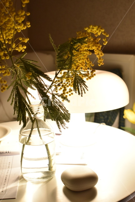 homedecor,가정장식,무드,조명,미모사,꽃,화병