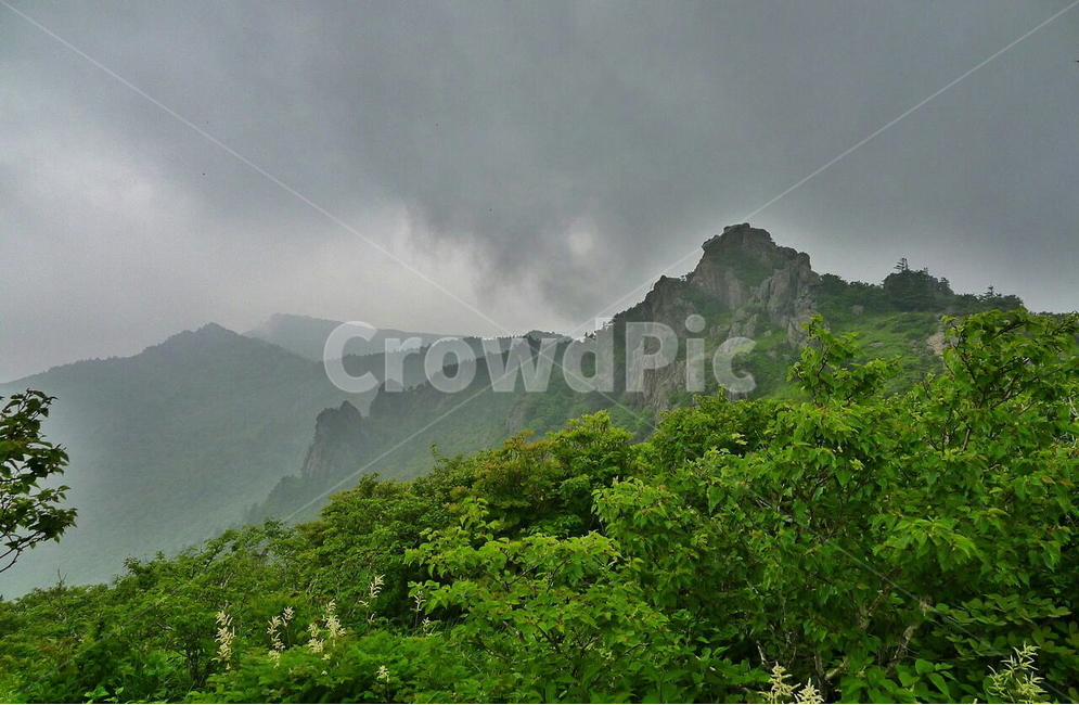 지리산,능선,운해,구름,신록,자연,풍경,nature,landscape,한국자연풍경,한국자연경관,korea nature landscape,outdoors,옥외
