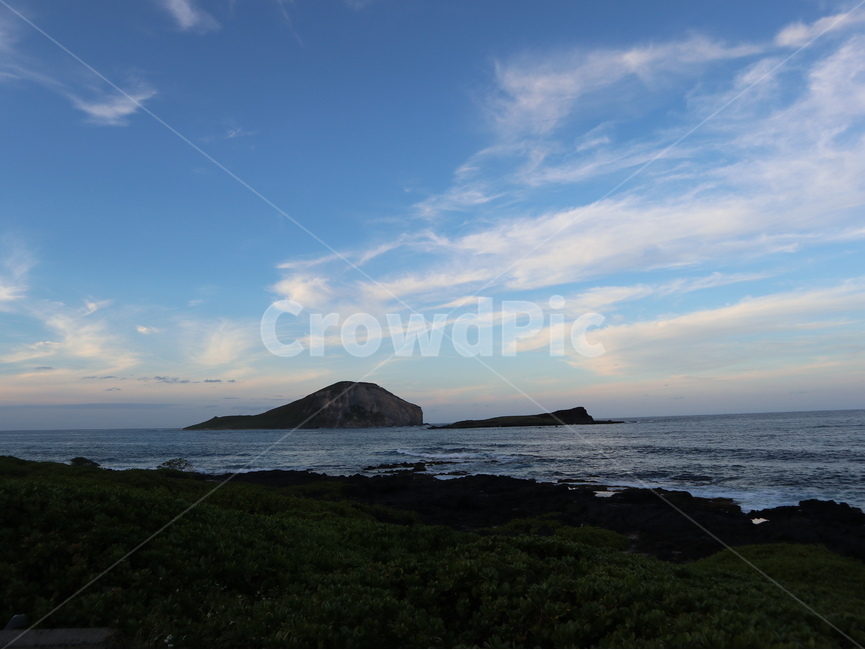바다,sea,ocean,대양,하와이,자연,nature,노을,sunset,야자나무,palmtree,scenery,풍경,shoreline,해안선
