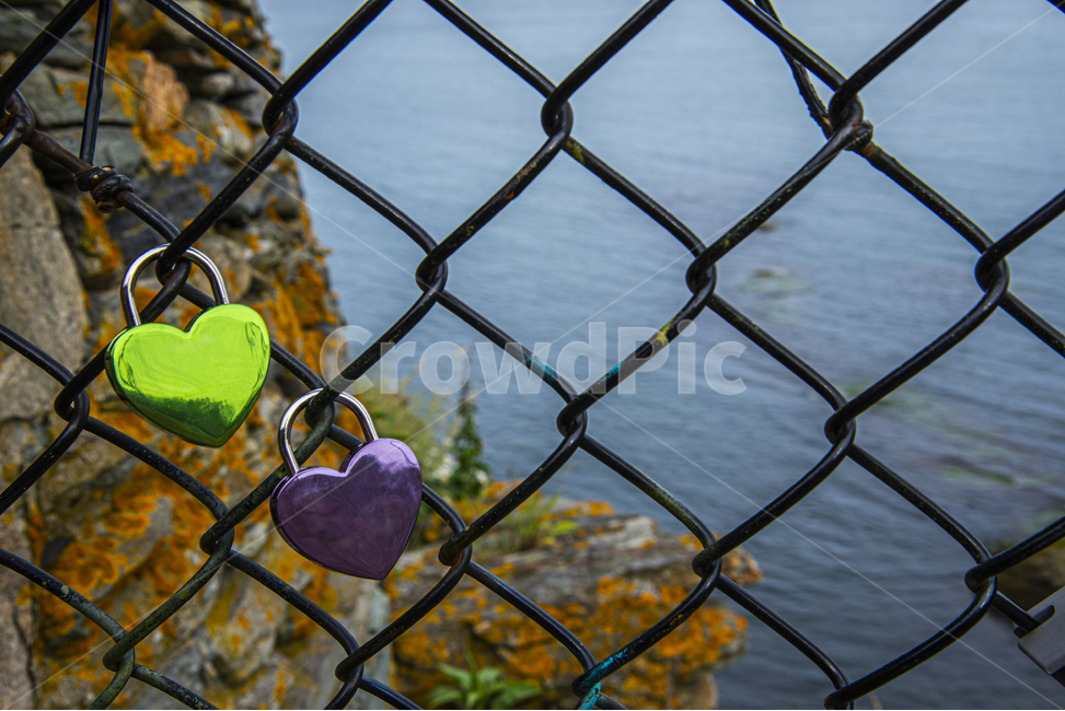 자물쇠,하트,보라,녹색,바다,약속,커플,love,locks,promises,couple,fence,public,heart,shape,green,purple