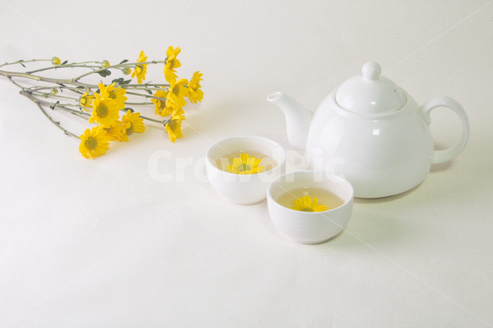국화,꽃,식물,국화차,주전자,배경,백그라운드,다울,음료수,drink,beverage,휴식,힐링,rest,relaxation,healing