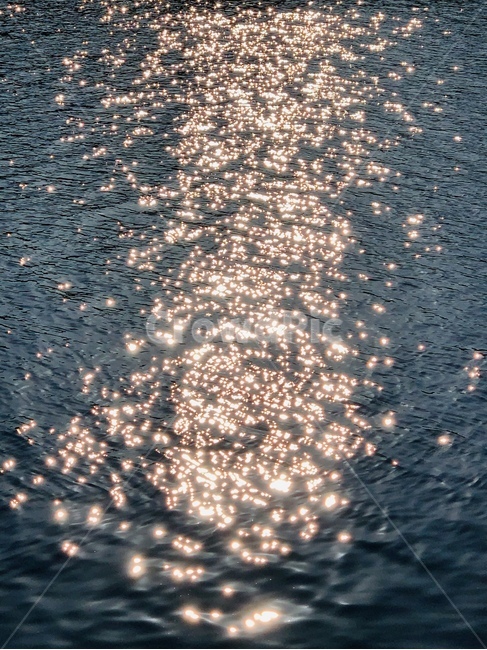 해,햇빛,빛,강,오십천,물,water,자연,풍경,nature,landscape