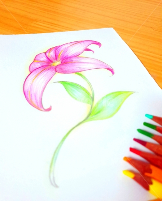 꽃,그림,색연필,꽃그림,손그림,미술,art