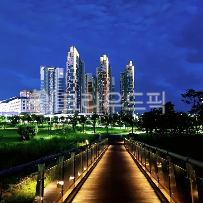 night view,park night street,Baegot Life Park,city,sunset,night city,night park,city night view,park