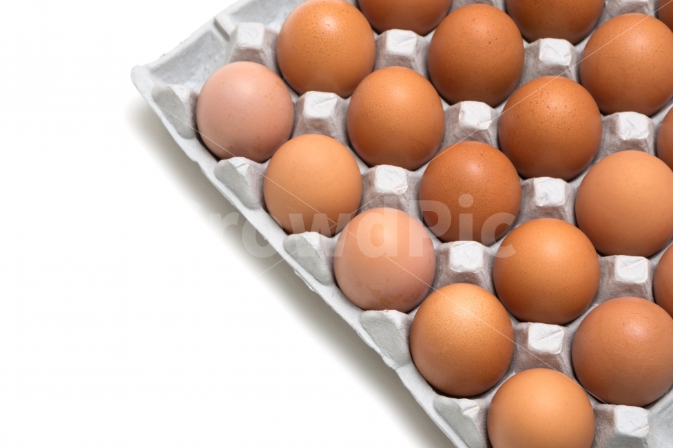 달걀,계란,음식재료,식재료,다이어트,누끼,요리재료,바탕,배경,이미지,배경이미지,단백질,컨셉,컨셉트,콘셉,콘셉트,음식,음식물,요리,식량,식료품,신선한,프레쉬,후레쉬,식자재,생명,프로틴,하얀,흰,흰색,화이트,농업,영양,유기농,항생제,껍데기,생활,식생활,헬스,식단,신선,영양분,음식,식재료,요리,food,cook,meal,dishes,food reserves,누끼,remove background