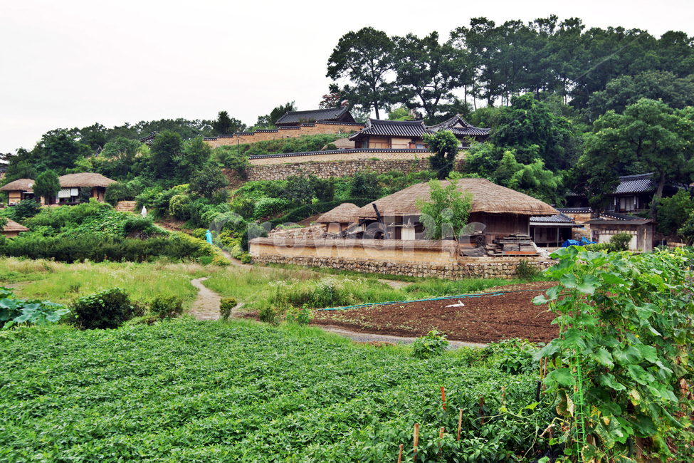 경주,양동마을,양반,집성촌,민속마을,조선시대,한옥,기와집,초가집,문화재,유네스코세계유산,전통문화,월성손씨,여강이씨,전통가옥,시골,마을,풍경,landscape,country,rural,town,한국전통,한국문화,korean traditional,korean culture