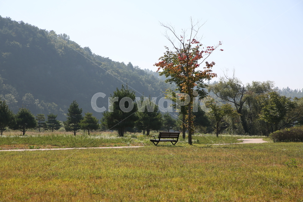 경북명소,경북관광지,경북상주,상주시,경천섬,가을풍경,가을,계절,fall,autumn,season,grass,잔디,plant,식물,nature,자연,outdoors,옥외,tree,나무,bench,벤치,furniture,가구