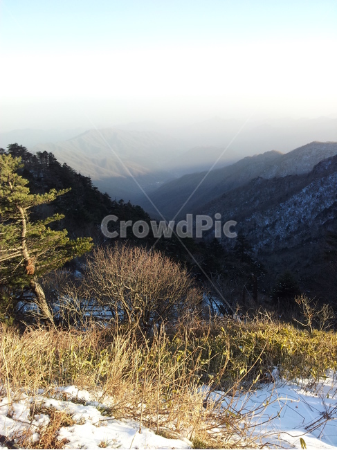 눈,나무,산,겨울,빛,겨울,계절,winter,season