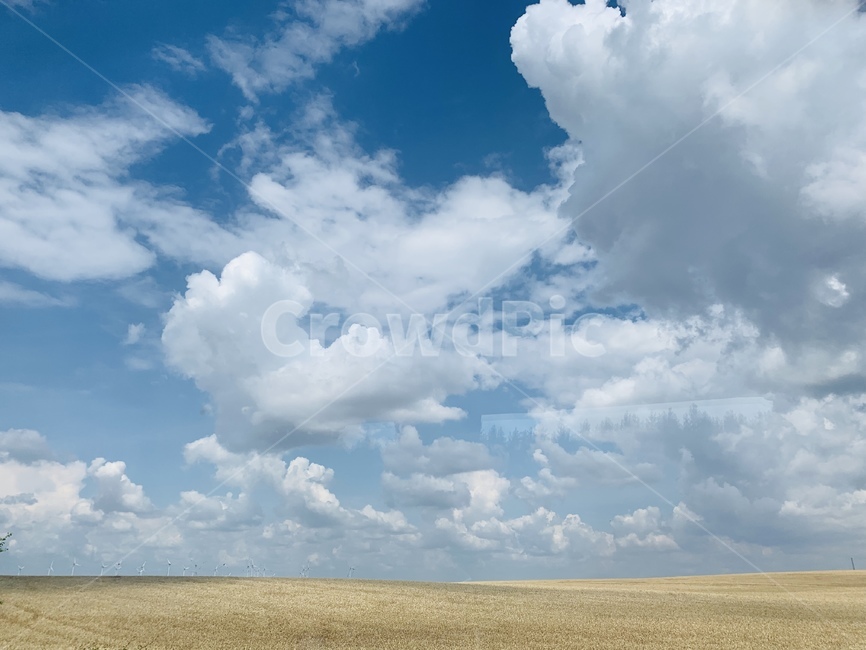 자연,nature,weather,날씨,sky,outdoors,옥외,초원,하늘,구름,하얀구름,화이트,파란,블루,시골