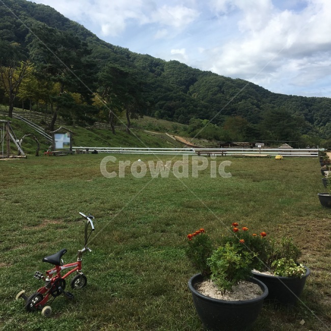 춘천,해피초원목장,자전거,꽃,들,잔디,목장,초원