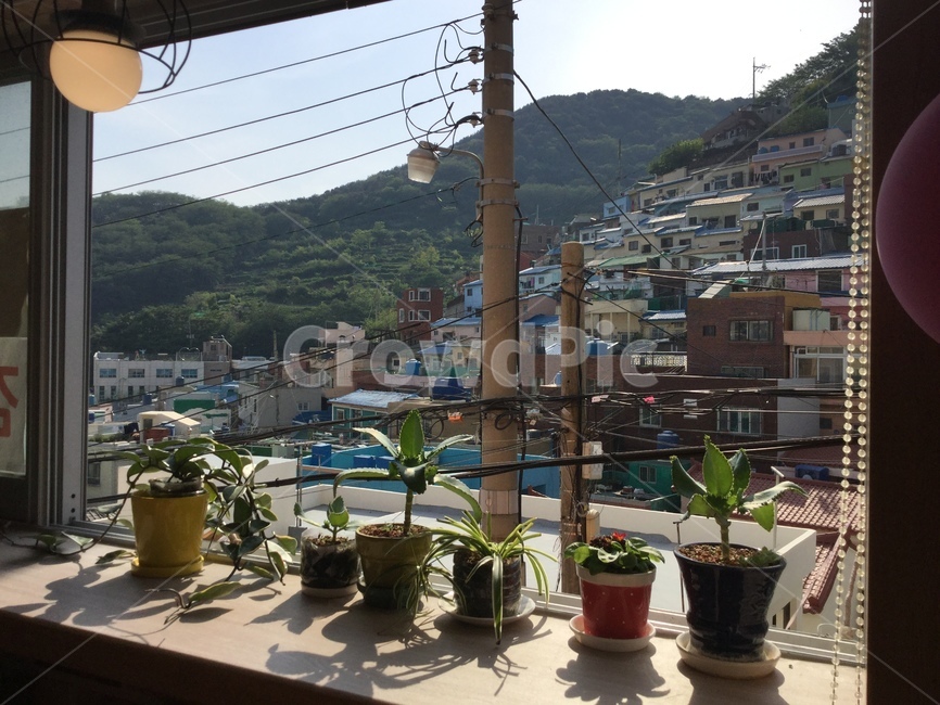 햇살,여유,창가,화분,감천문화마을