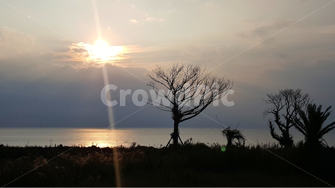 일출,노을,풍경,감성,제주,제주풍경,하늘,구름,자연,바다,자연,풍경,nature,landscape,light,빛,flare,플레어
