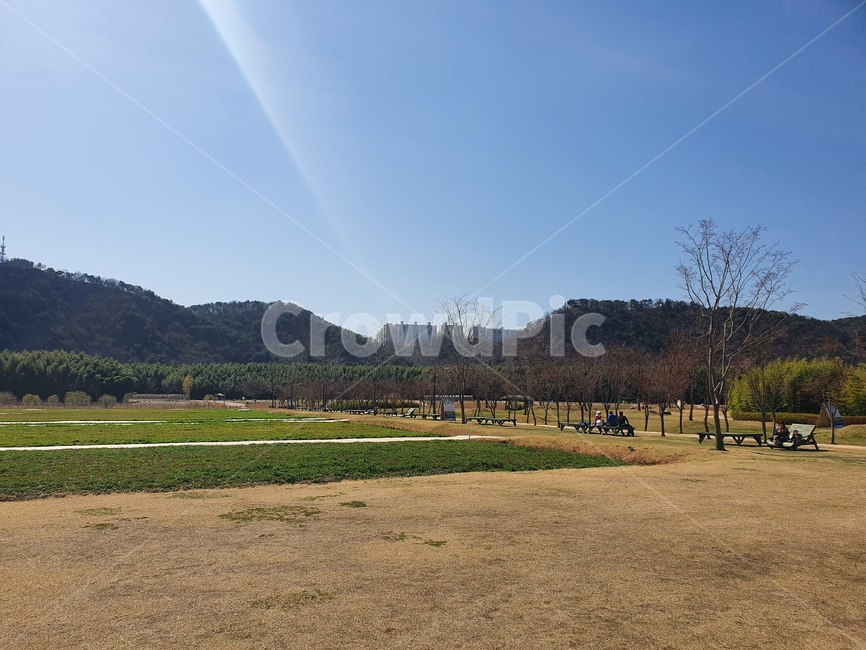 outdoors,옥외,대나무숲,잔디,자연,nature,plant,식물,tree,나무,공원,산책,대나무,숲,하늘,봄,봄날,오솔길,산책길,forest,sky,spring,road,sand,햇살,sunshine,울산,울산대공원,대공원