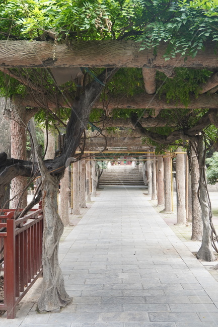 garden,정원,outdoors,옥외,길,load,nature,자연,나무,tree