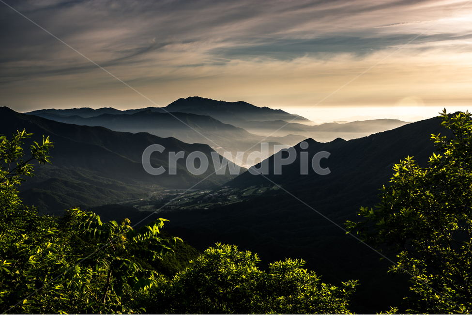 자연,풍경,식물,여명,하늘,산,운해,자연,풍경,nature,landscape,한국자연풍경,한국자연경관,korea nature landscape,mountain range,산맥,outdoors,옥외,mountain