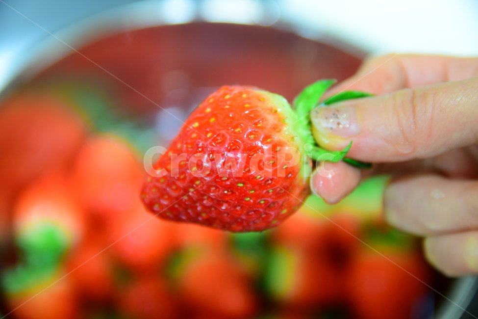 딸기,꼭지,빨강,손,접사,클로즈업,딸기씨,strawberry,hand,closeup,음식,맛있는,식재료,과일,채소