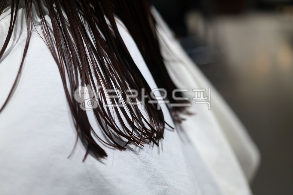 머리,머리카락,미용실,젖은머리,젖은,머릿결,헤어,인물,사람,여자,여성,흑발,검은,검은머리,젖은머리카락,스타일링,뷰티,미용,뒷모습,beautysalon,wet,hair,person,woman,female,black,blackhair,wethair,styling,beauty,backview