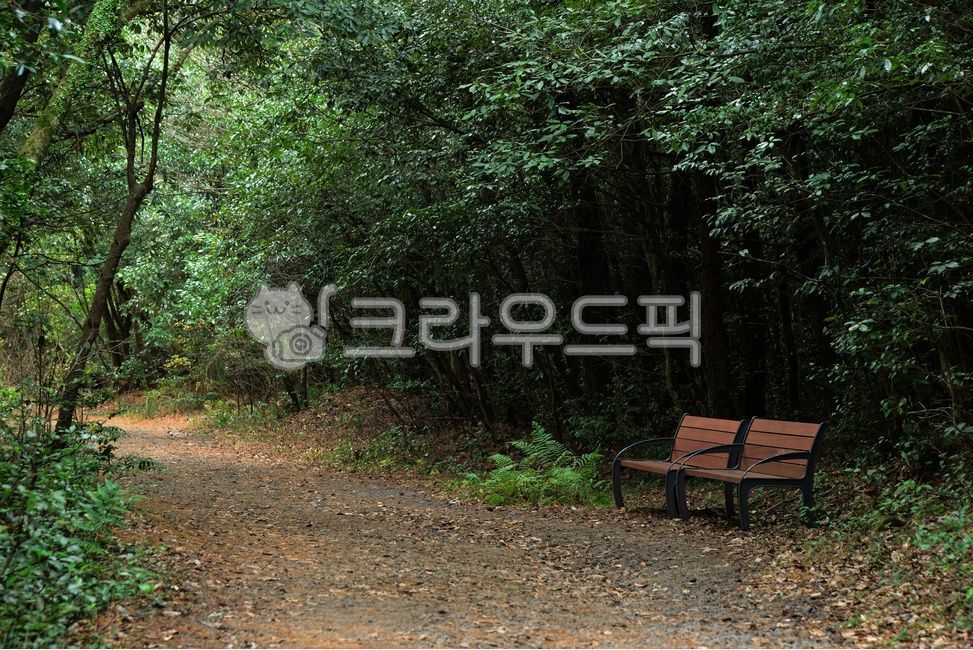 숲길,bench,벤치,숲,산책,바닥,dirtroad,흙길,road,의자
