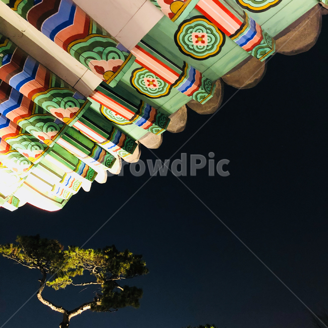 전통,가옥,한국,감성,건축,한국전통,한국문화,korean traditional,korean culture,건축물,건물외관,exterior,building,structure,architecture,construction