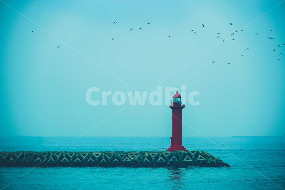 building,건물,architecture,건축물,lighthouse,등대,beacon,tower,탑,제주,감성,등대,lighthouse