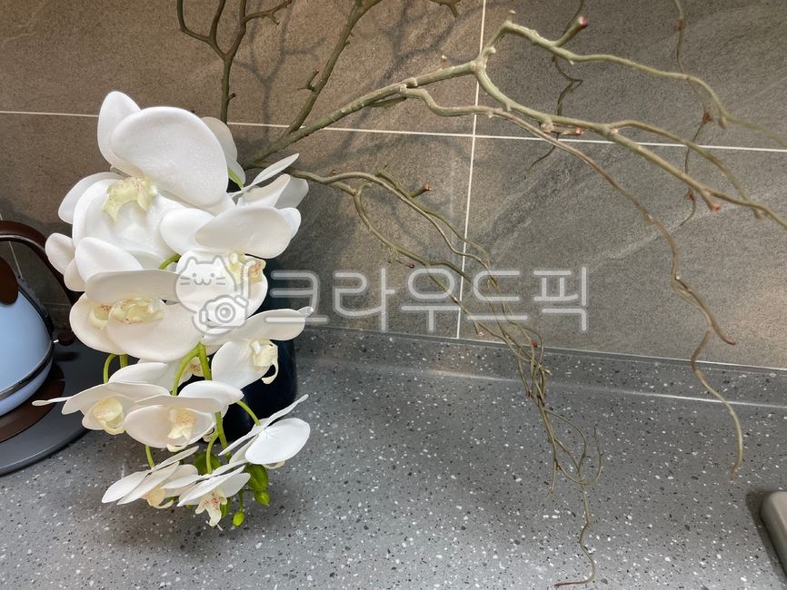 실내,인테리어디자인,인테리어소품,인테리어,모던인테리어,인테리어아이템,flower,꽃,flowerarrangement,꽃다발,꽃잎,petal,flowerbouquet,이케바나,ikebana,꽃꽂이