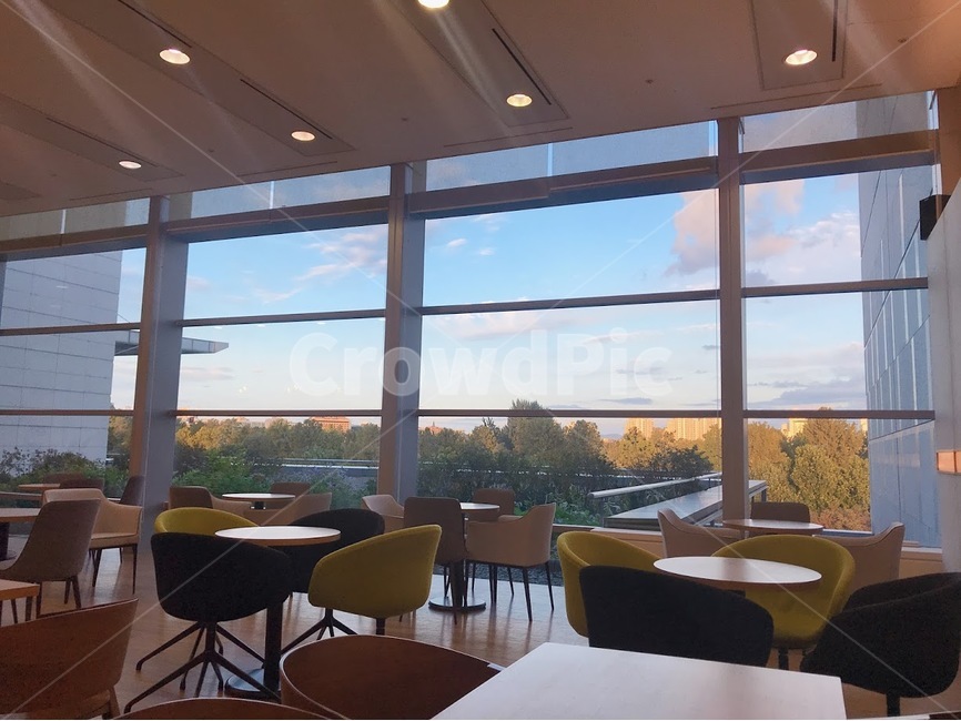 가을,하늘,단풍,구름,카페,분위기,차분한,인테리어,실내디자인,interior design