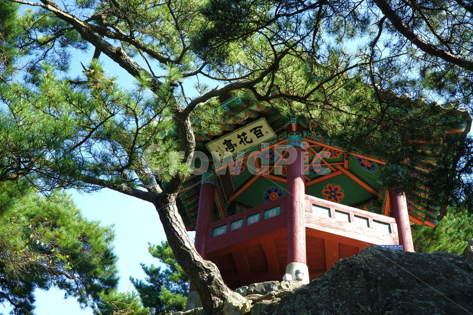 architecture,건축물,building,건물,부여,백제,낙화암,정자,한국전통,한국문화,역사,랜드마크,tower,목조건물,백제문화,문화재,koreaculture,koreatraditional,한옥,누각,유적지,백화정