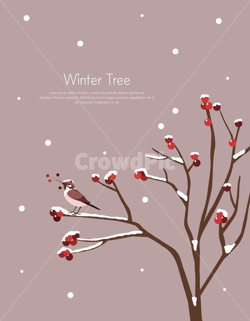 열매,새,동물,눈,나무,겨울,식물,가지,겨울,계절,winter,season,그래픽,일러스트레이션,graphic,illustration