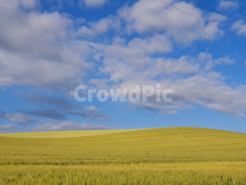field,들,nature,자연,outdoors,옥외,grassland,목초지,spain,스페인,자연,풍경,nature,landscape