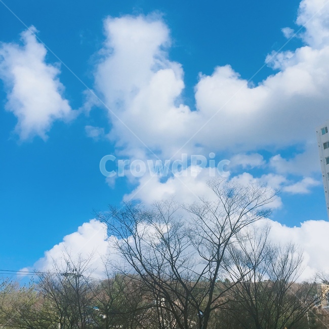 하늘,하늘경치,구름,하늘풍경,스카이,sky,날씨좋음,클라우드,cloud,자연,풍경,nature,landscape,outdoors,옥외,weather,날씨