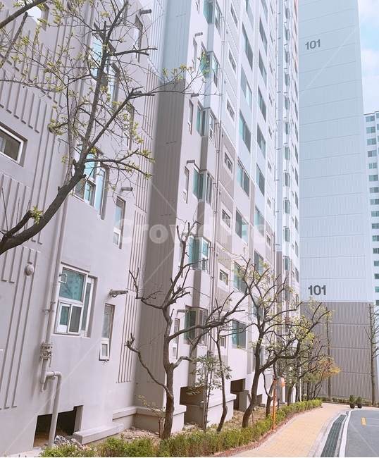 building,건물,아파트,나무,환경